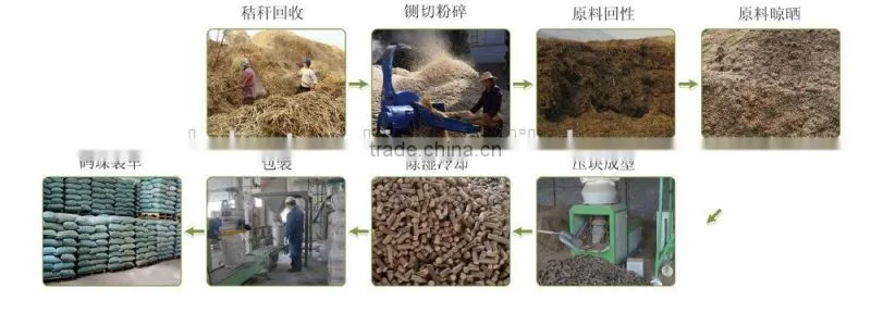 SGS/CE/ISO Approved wood /pellet briquette machine for sale