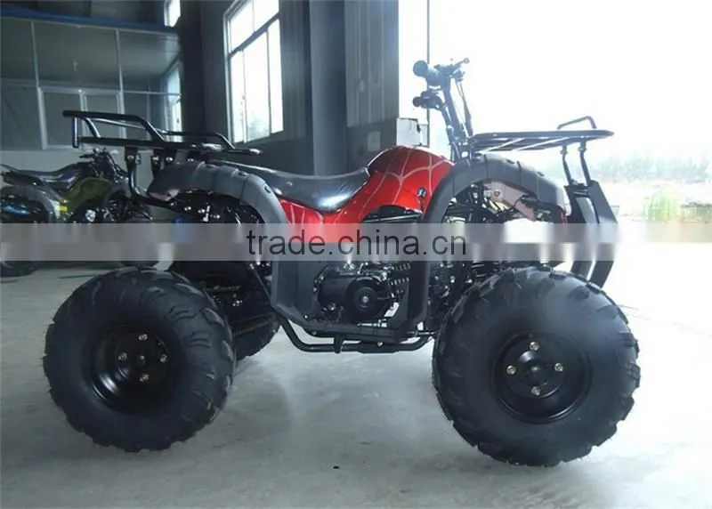 AOS125 Mini Buggy Truck For Beach Or Dune Amusements And Sports