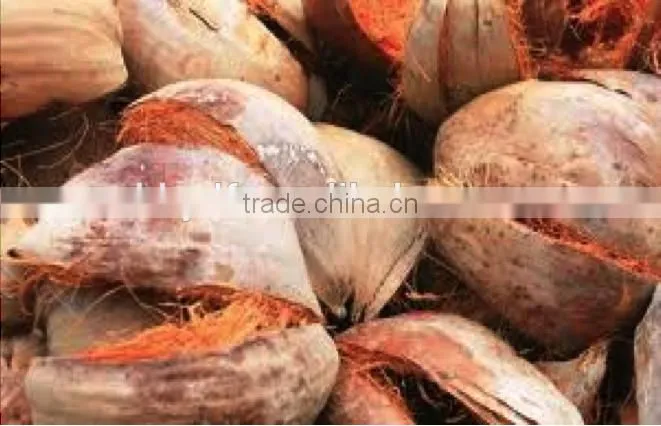 Hot sale high performance coconut coir machine