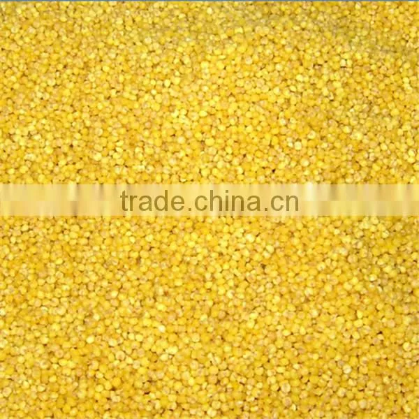 China supply operation easy millet and sorghum milling machine