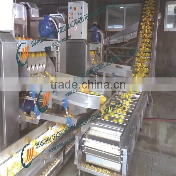 canned fruit and vegetables making/processing production line