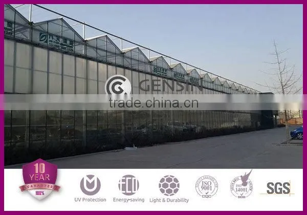 Greenhouse Rooginhg PC Sheet,Polycarbonate Sheets,Hollow Polycarbonate Sheet