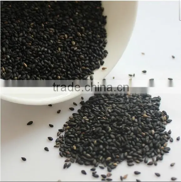 Black sesame packing machine SJIII-K100