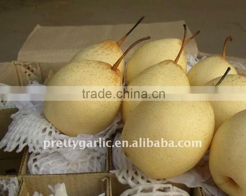 fresh Golden pear
