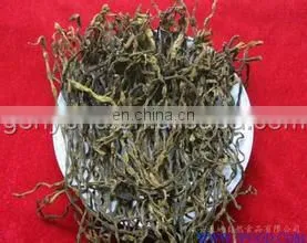 shanghai dryer machine for drying mango