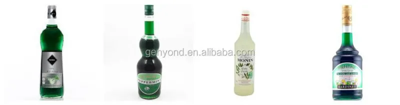 Complete Mint Extract Processing Machine / Mint Juice Processing Plant