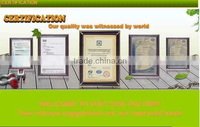 High Quality Electro-galvanized H-330 Clevis Grab Hook