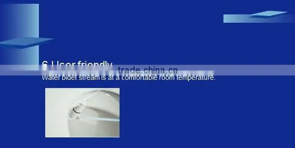 bidet attached to toilet seat great thing of a boon for Hemorrhoids patient