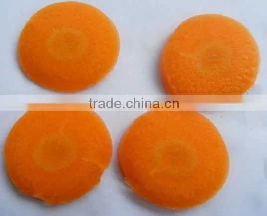 Chinese new crop high quality 80-150g fresh carrot