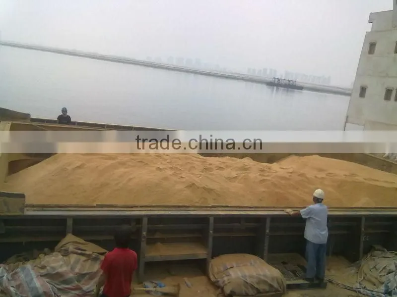 corn gluten feed for cattle feed
