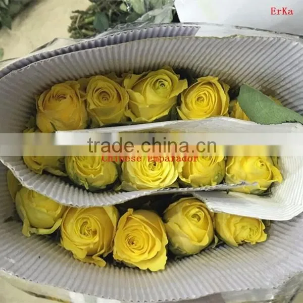 Natural promotional preserved rose flower for home decoration