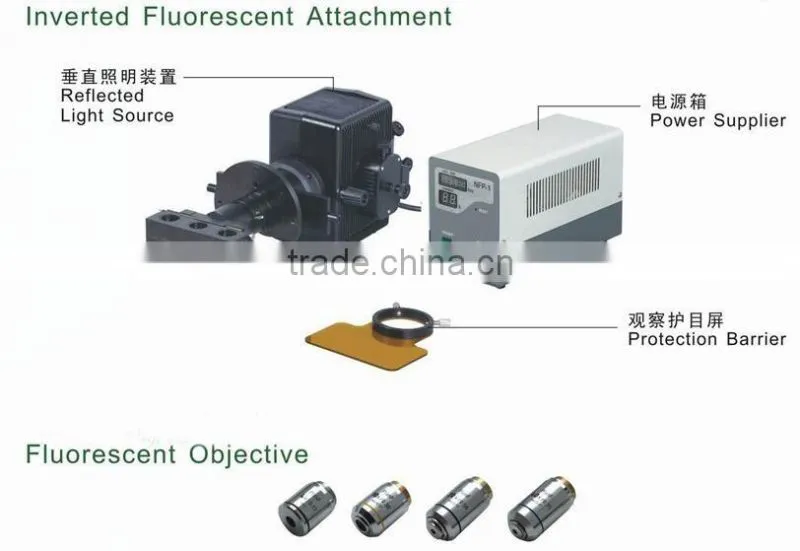 NIB-100F Professional Trinocular Inverted Fluorescent Biological Microscope with camera