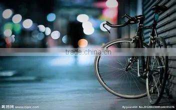 beach cruiser bicycle saddle with titanium arch