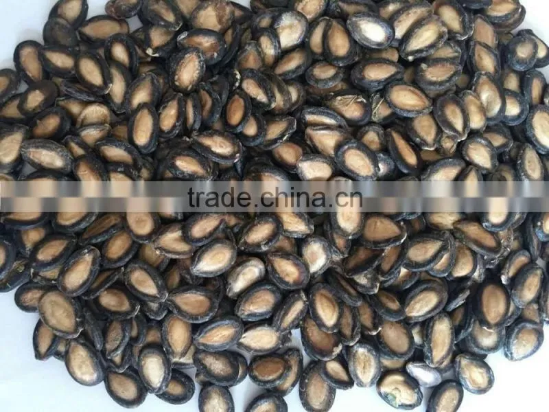 New Crop Chinese Black Watermelon Seed
