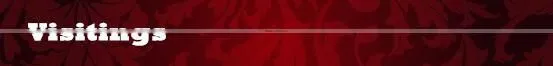 new state china direct factory 8T Wheel Sugarcane Loarder