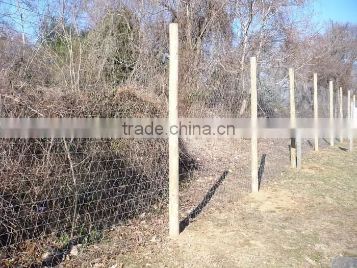Anti-bird nets,Anti-bird netting