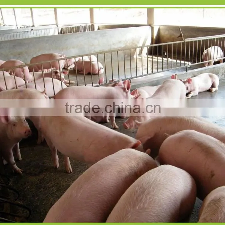 bio feed additives