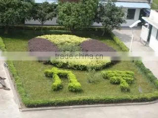 Anhui Liyu Computer Equipment Manu. Co., Ltd. company overview - view 3