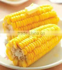 revolve type roasts corn machine ,hot sale corn roasting machine