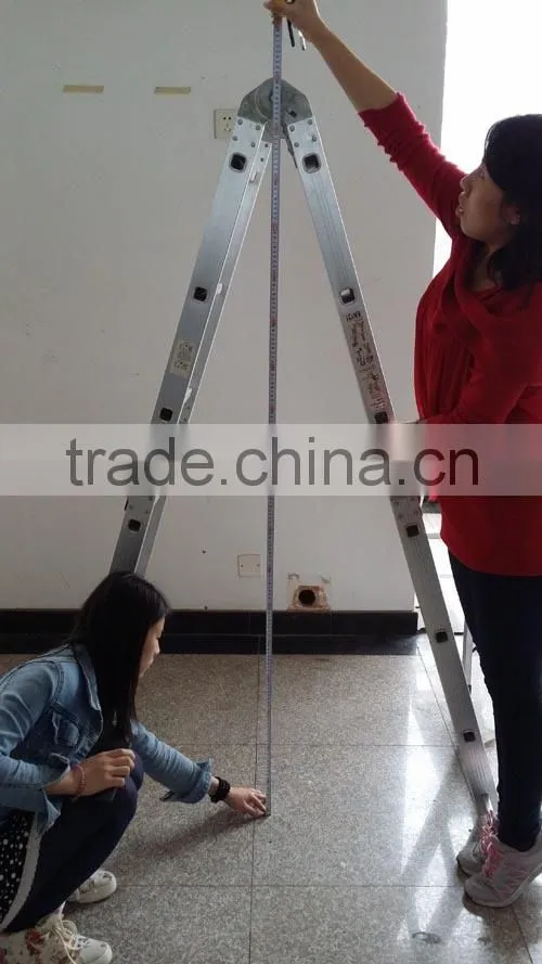 Multi-purpose Ladder