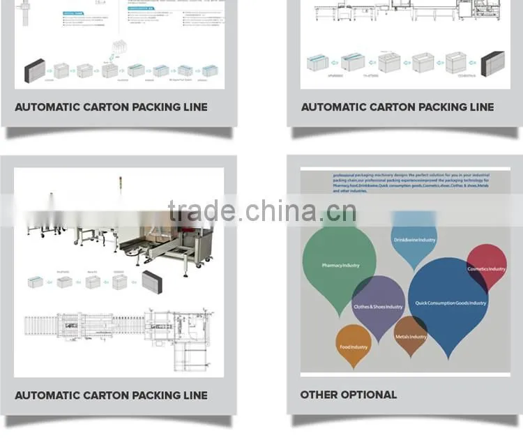 2016 Top Selling Competitive Prices Automatic Food Snacks Pillow Case Packing Machine