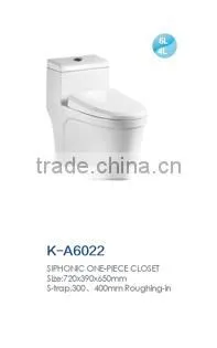 bathroom sanitary ware siphonic one piece wc spy toilet cam