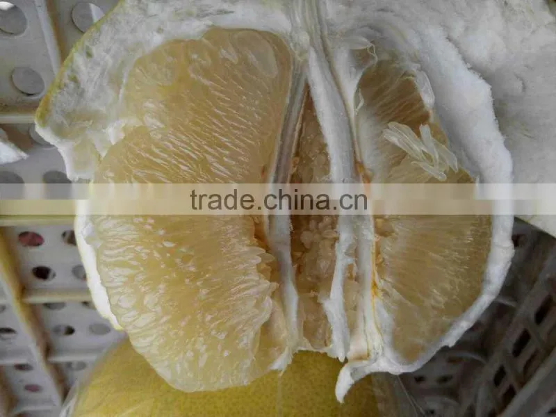 late honey pomelo