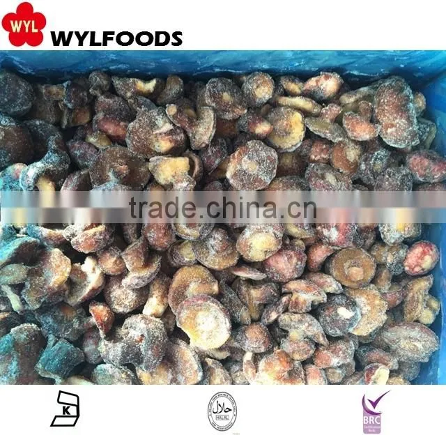 Good price frozen baby oyster mushroom 2016 with Grade A