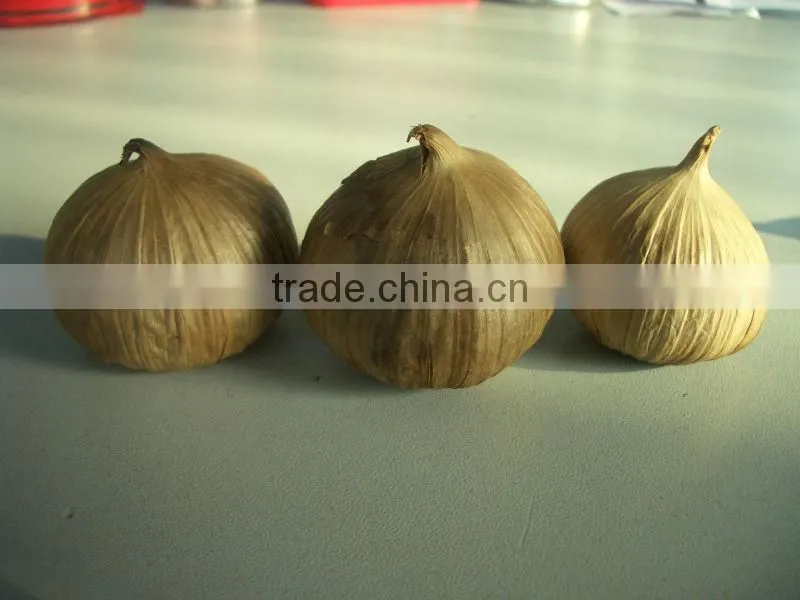 Japanese top quality black garlic