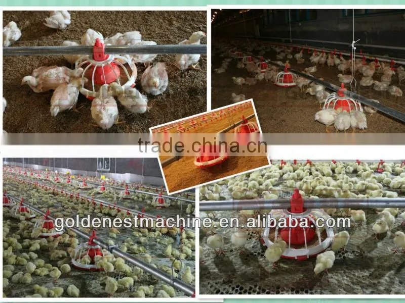 poultry farm feeding equipment