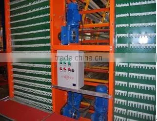 automatic layer egg collection system