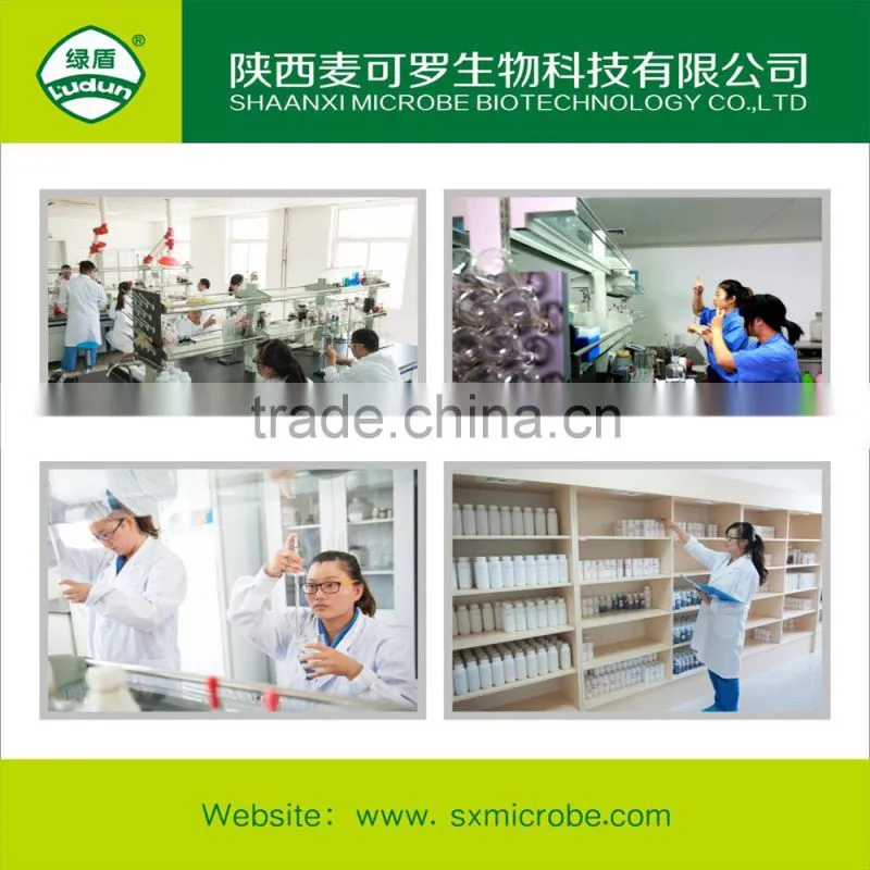 classification fungicide Kasugamycin copper oxychloride