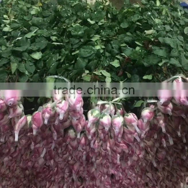 Wedding flowers fresh cut roses Fresh Flower Hand Bouquet decoration fresh flowers