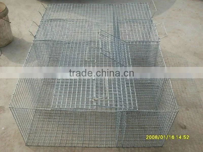 Mustela Vison cages