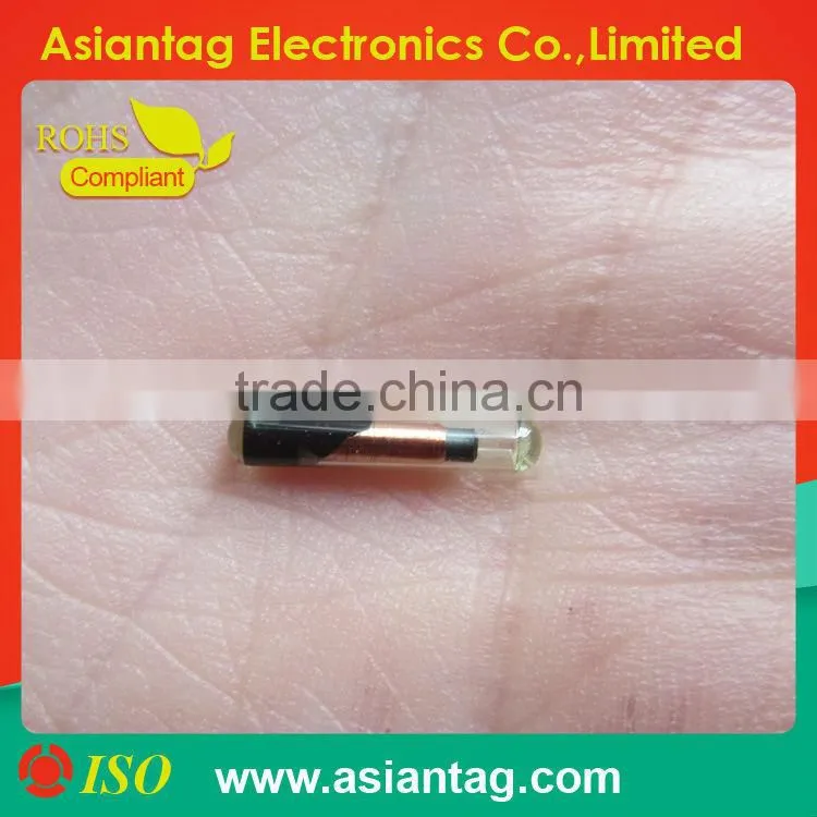 Glass Implant RFID Pet Transponder