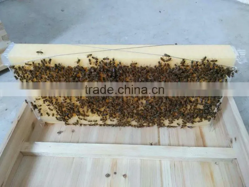 2017 Hot Sale Food Grade Automatic Honey Flow Bee Hive frame
