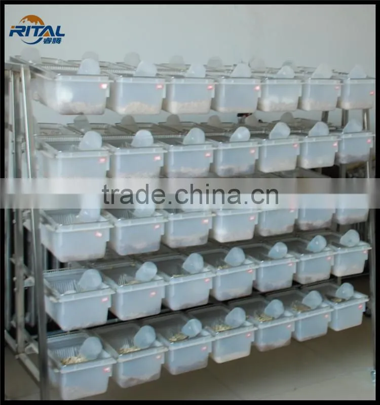 Lab Mouse Breeding Cage Set including Bottle,Lid,Box