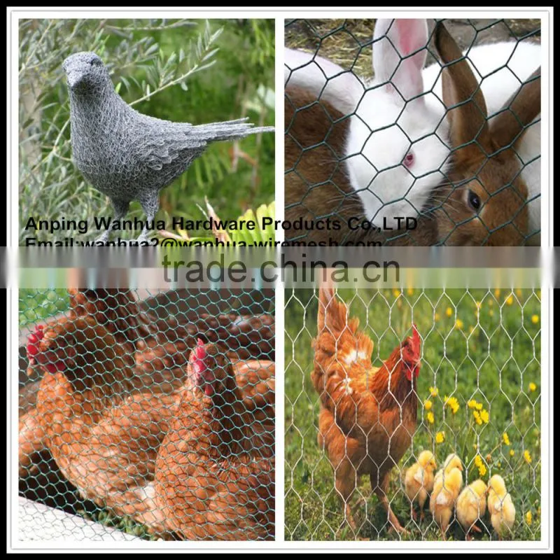 2015 hot sale hot galvanized hexagonal aquacultre fish net cage