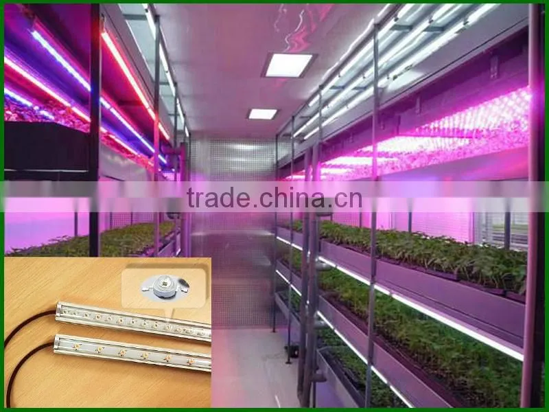 Hot seller 20w cheap indoor led grow lights that work