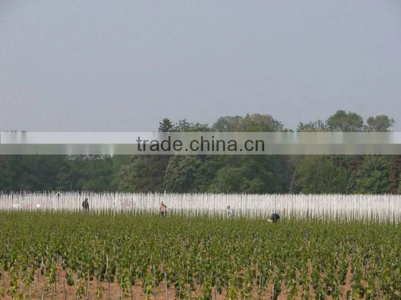 1/4'' FRP Stake