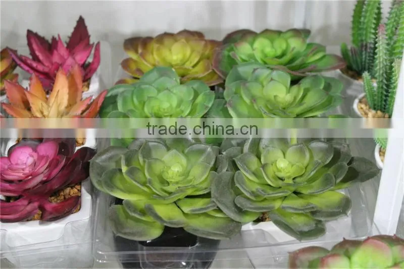 artificial succulent plants making