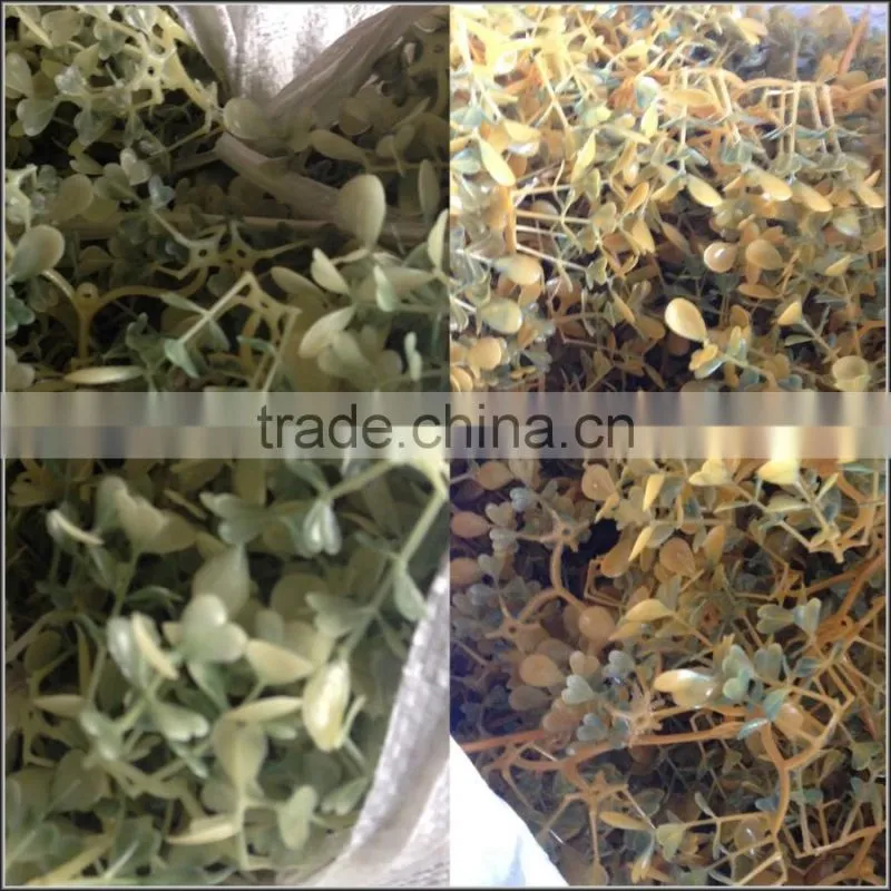 Artificial Melon-seeds boxwood mat milan boxowood