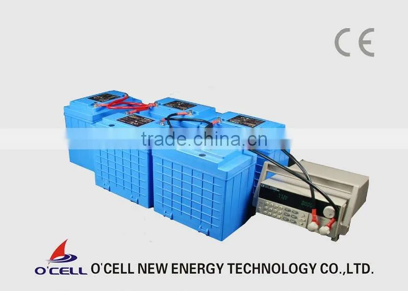 60V LiFePO4 EV Battery pack 100Ah
