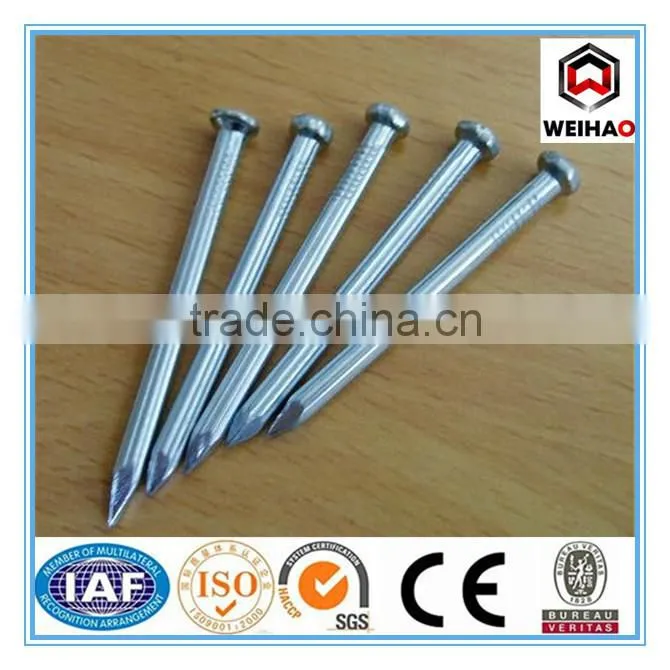 Good quality manufacture in China concrete kg nails 1 inch 2 inch