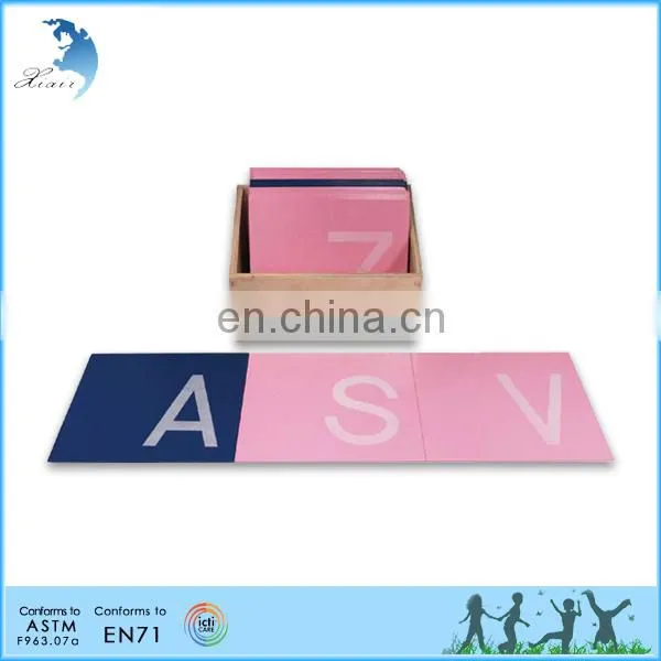 training kid child-care center Human Anatomy montessori equipment