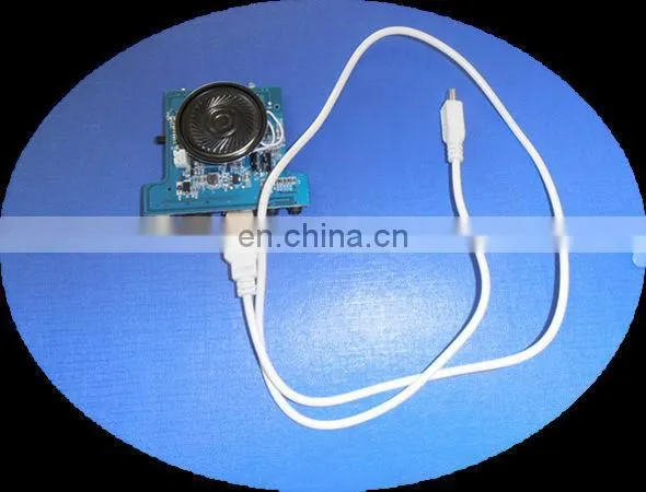 2015 New customized USB sound voice recording module wholesale