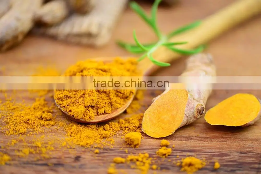 Best price Fresh Turmeric Root from Vietnam