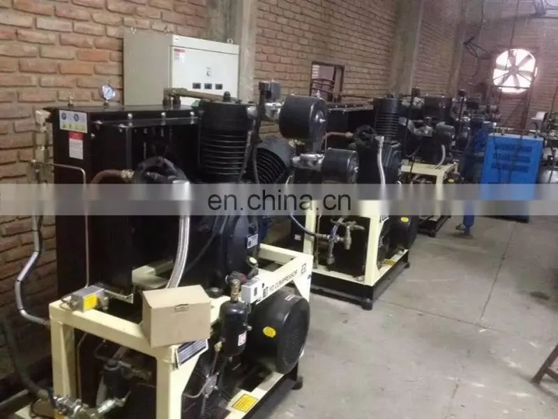 Blow Molding Machine for PET Bottle/Water Bottle Blowing Machine
