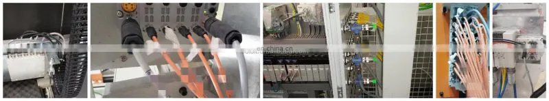 Beisit 12 pin Circular Connector M12 IEC 61076-2-101 For Automation Sensor