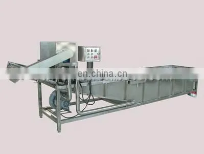 vegetable washing machine
